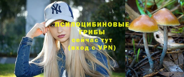 дживик Алексин