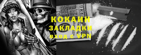 дживик Алексин